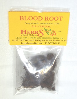 Blood Root  c/s (Sanguinaria canadensis)